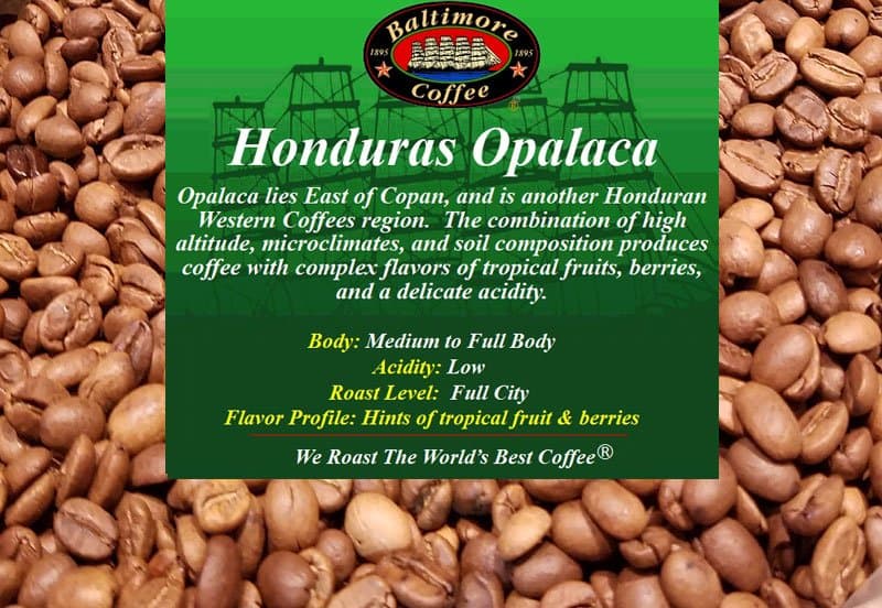 Honduras Opalaca