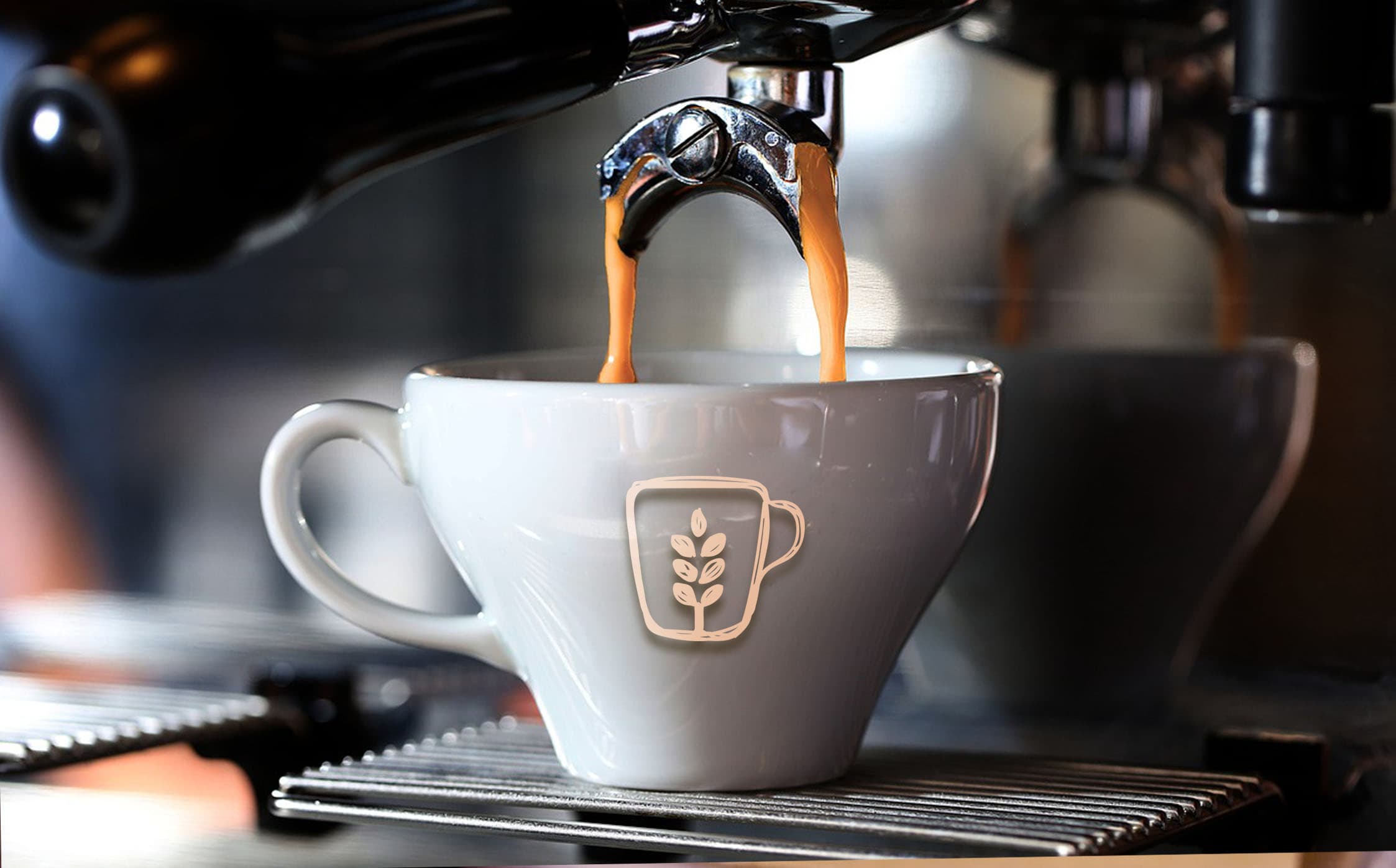 Terre Coffee & Bakery