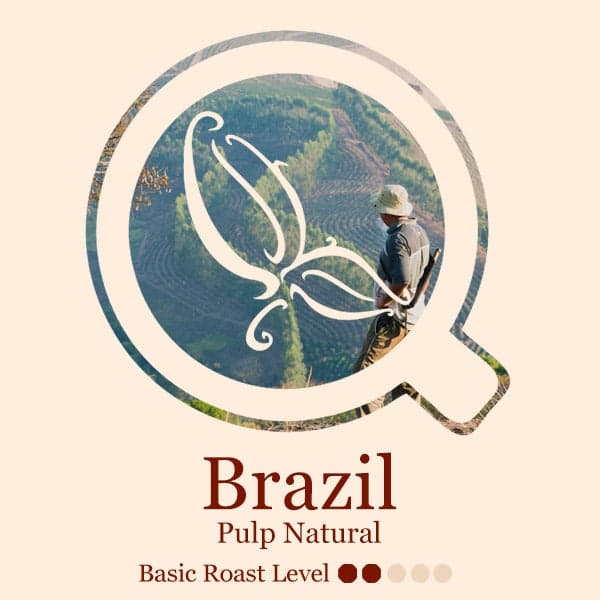 Brazil by Standing Stone Coffee Company