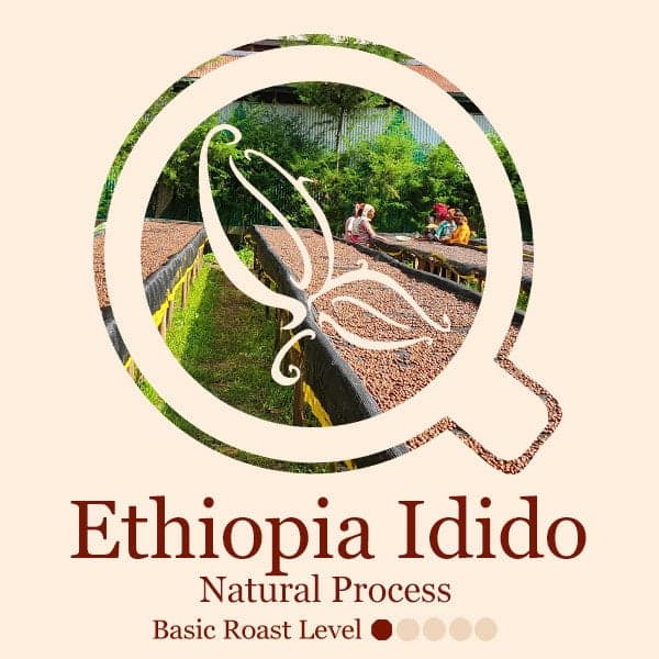 Ethiopia Idido by Standing Stone Coffee Company