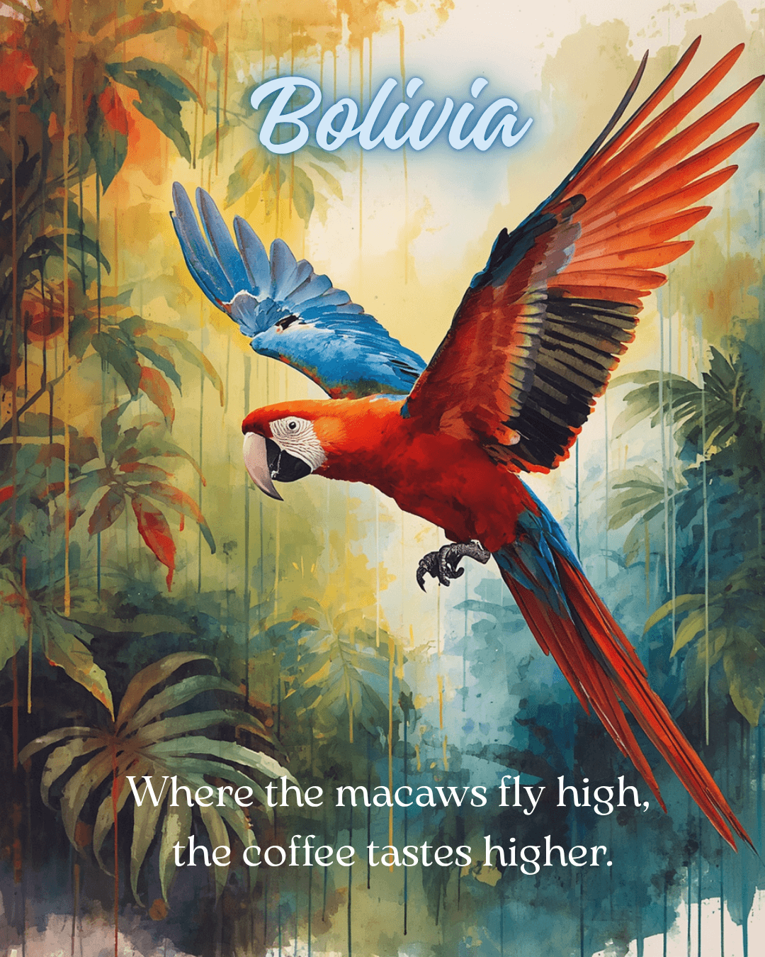 Bolivia Medium Roast by Sea Foam Roasting Company