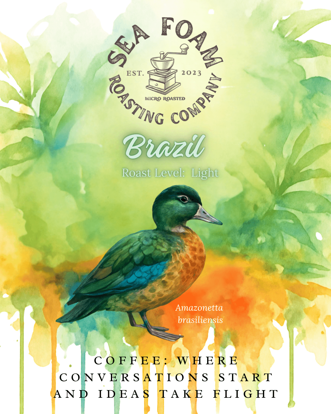 Brazil Parceiros do Café - Light by Sea Foam Roasting Company