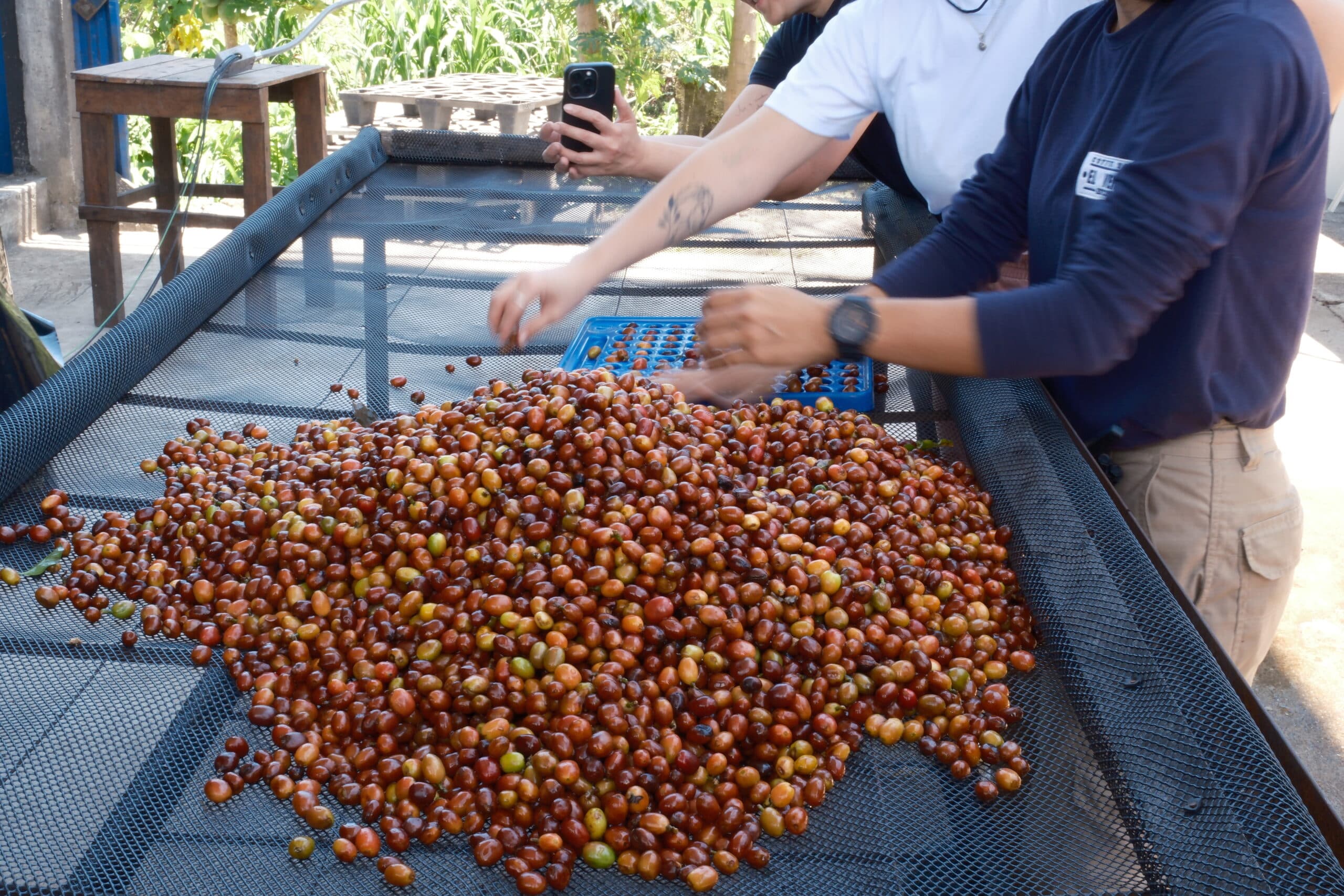 Armadillo Coffee Roasters