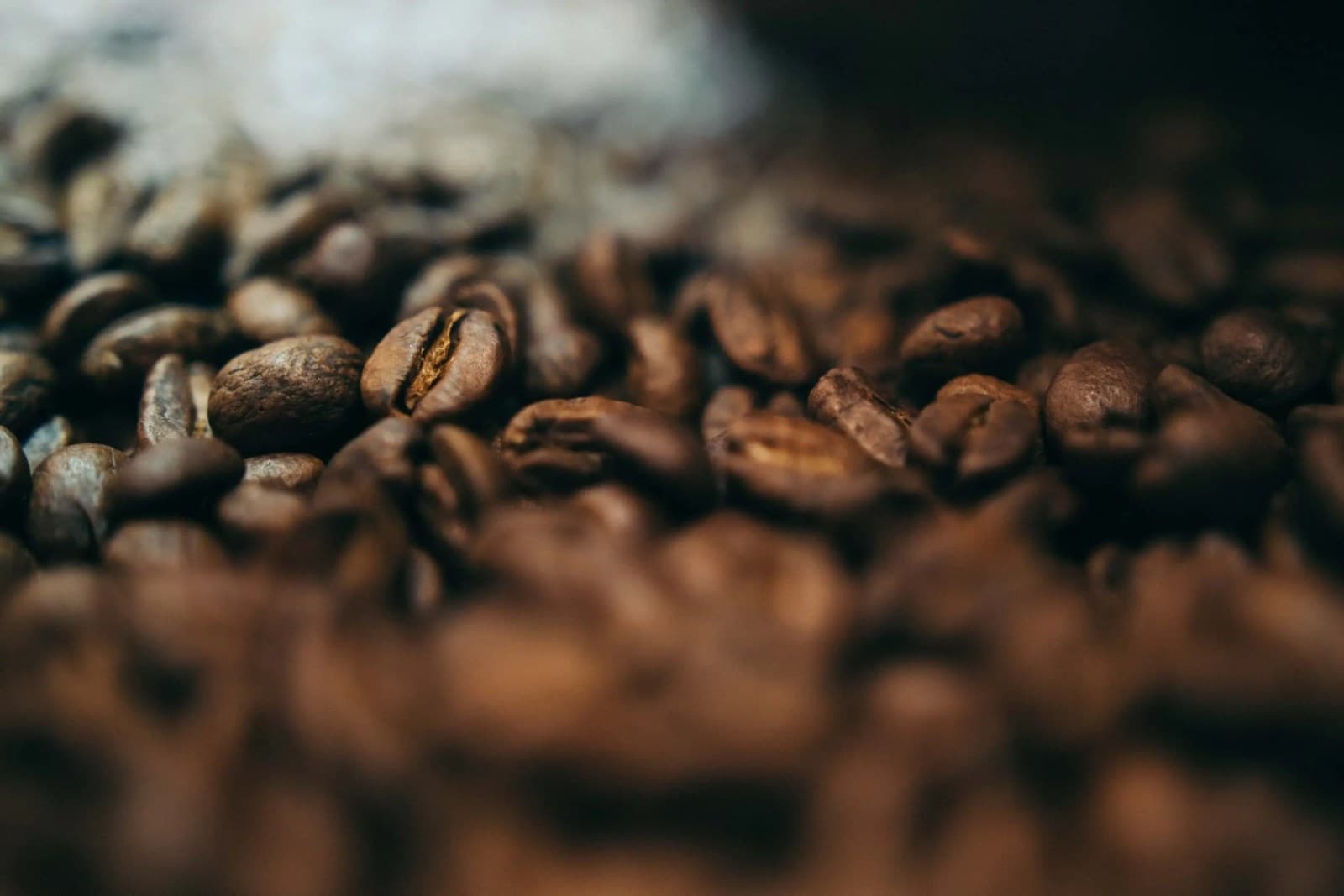 Guide Roasting Company