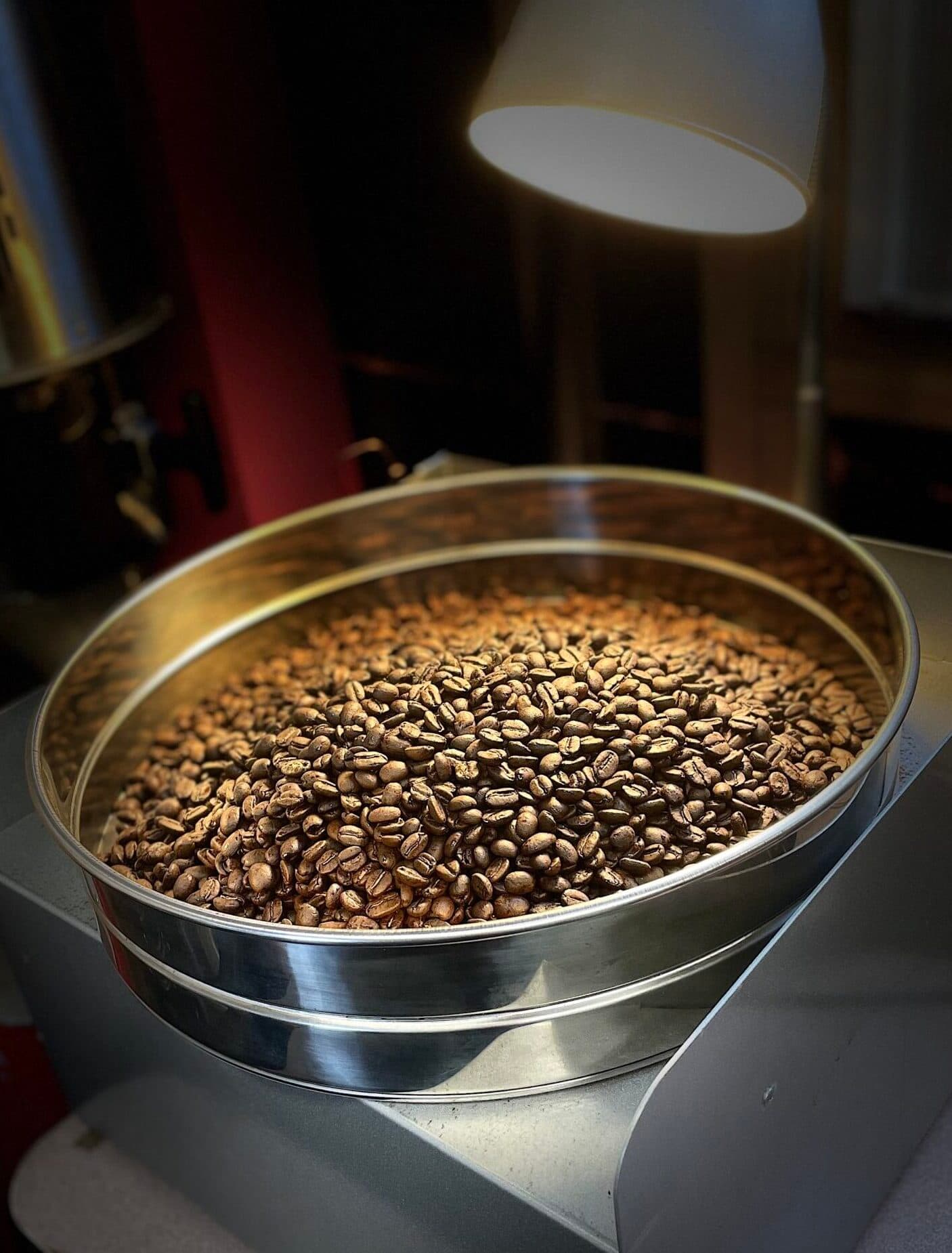 Bold Mountain Coffee Roasters
