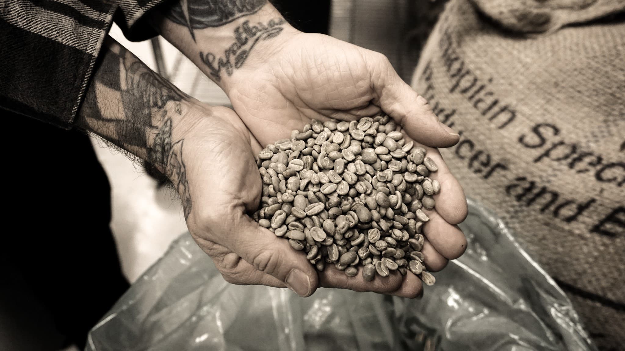 Gray Squirrel Coffee Company photo 5