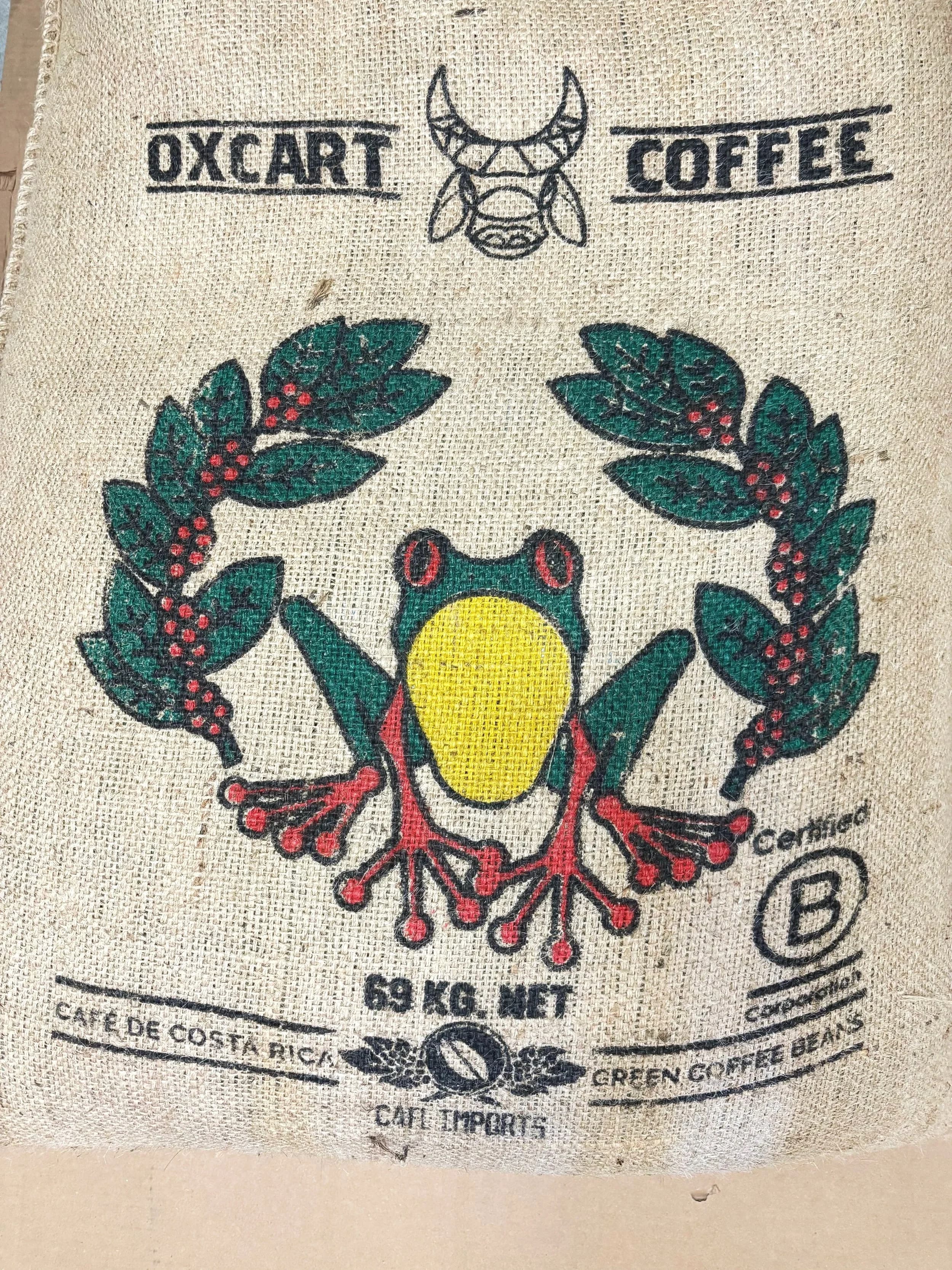 Costa Rica Cafe Frog by Coffee by the Roast