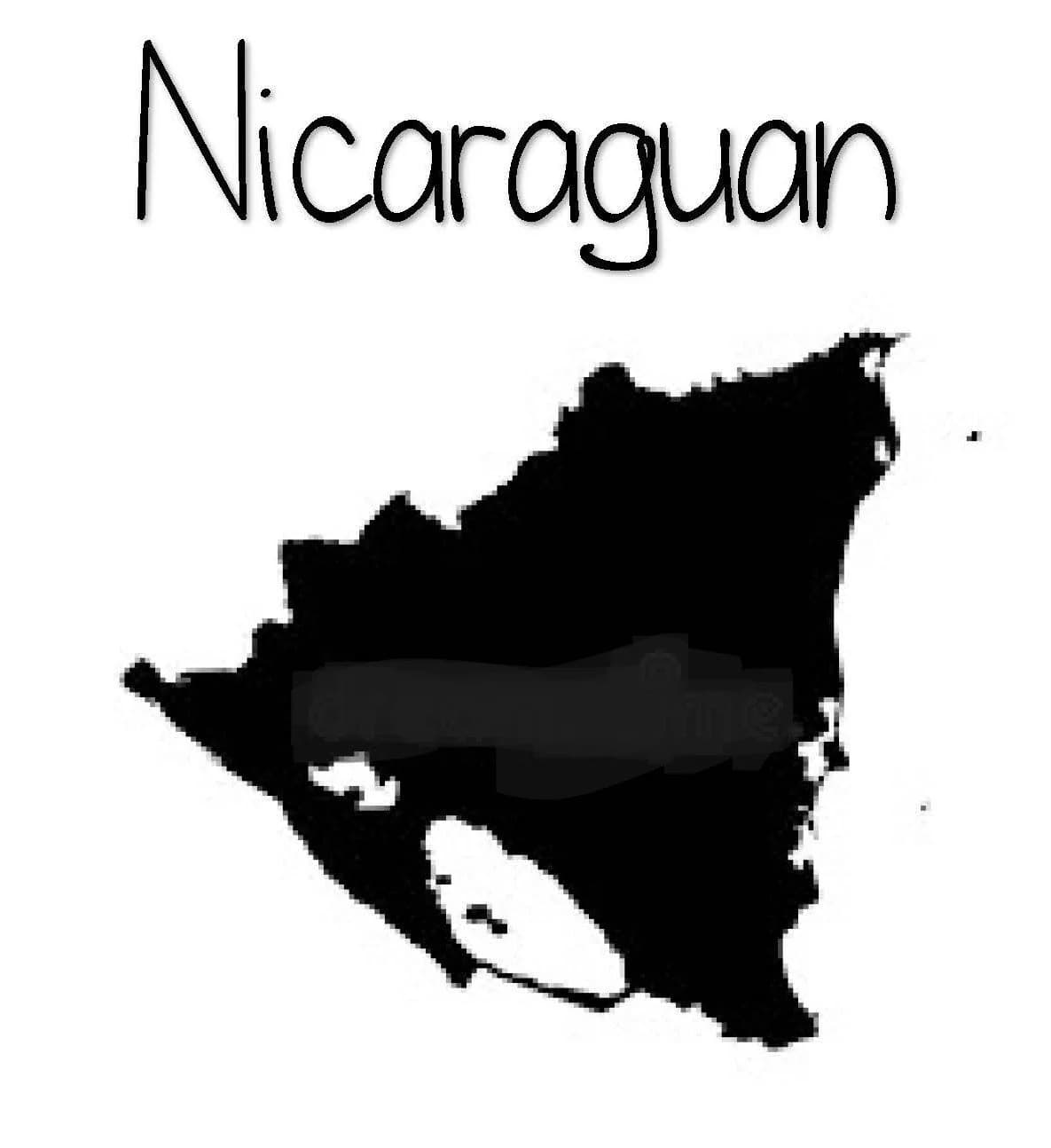Nicaraguan by TEAM Bean Coffee