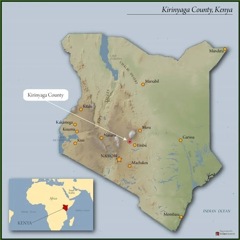 Kenyan Guchami AA