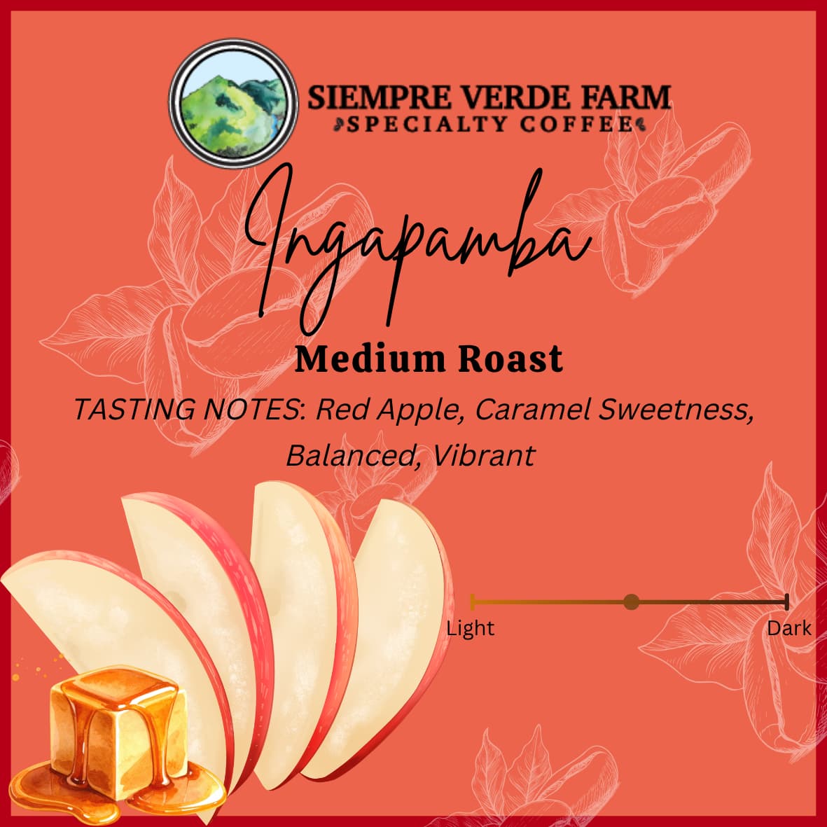 Ingapamba - Medium Roast by Siempre Verde Farm