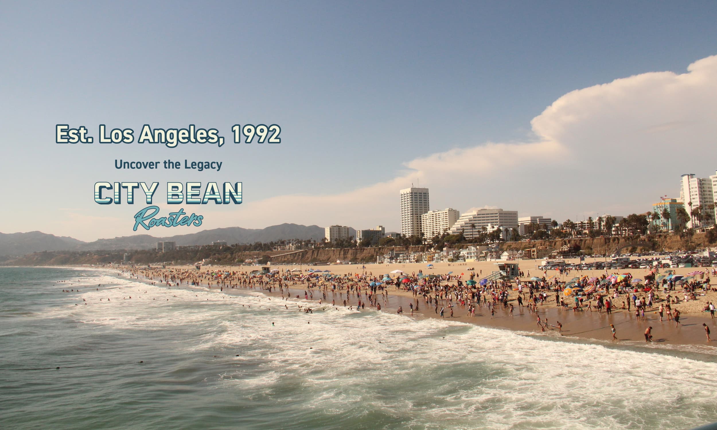 City Bean Roasters (Retail Shop and Wholesale)
