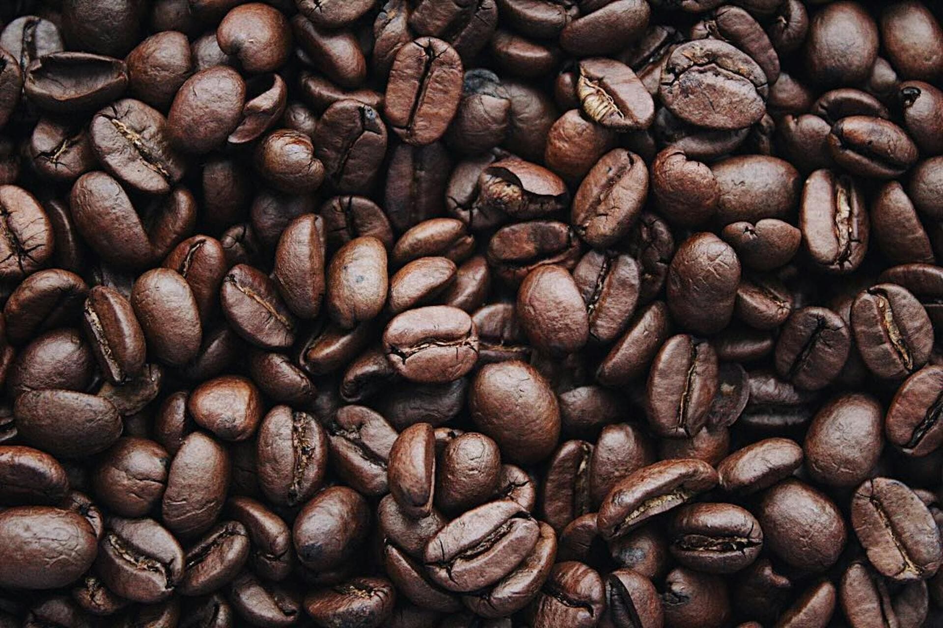 Haiti, Central Plateau, Savanne Zombie by Lakeway Coffee LLC