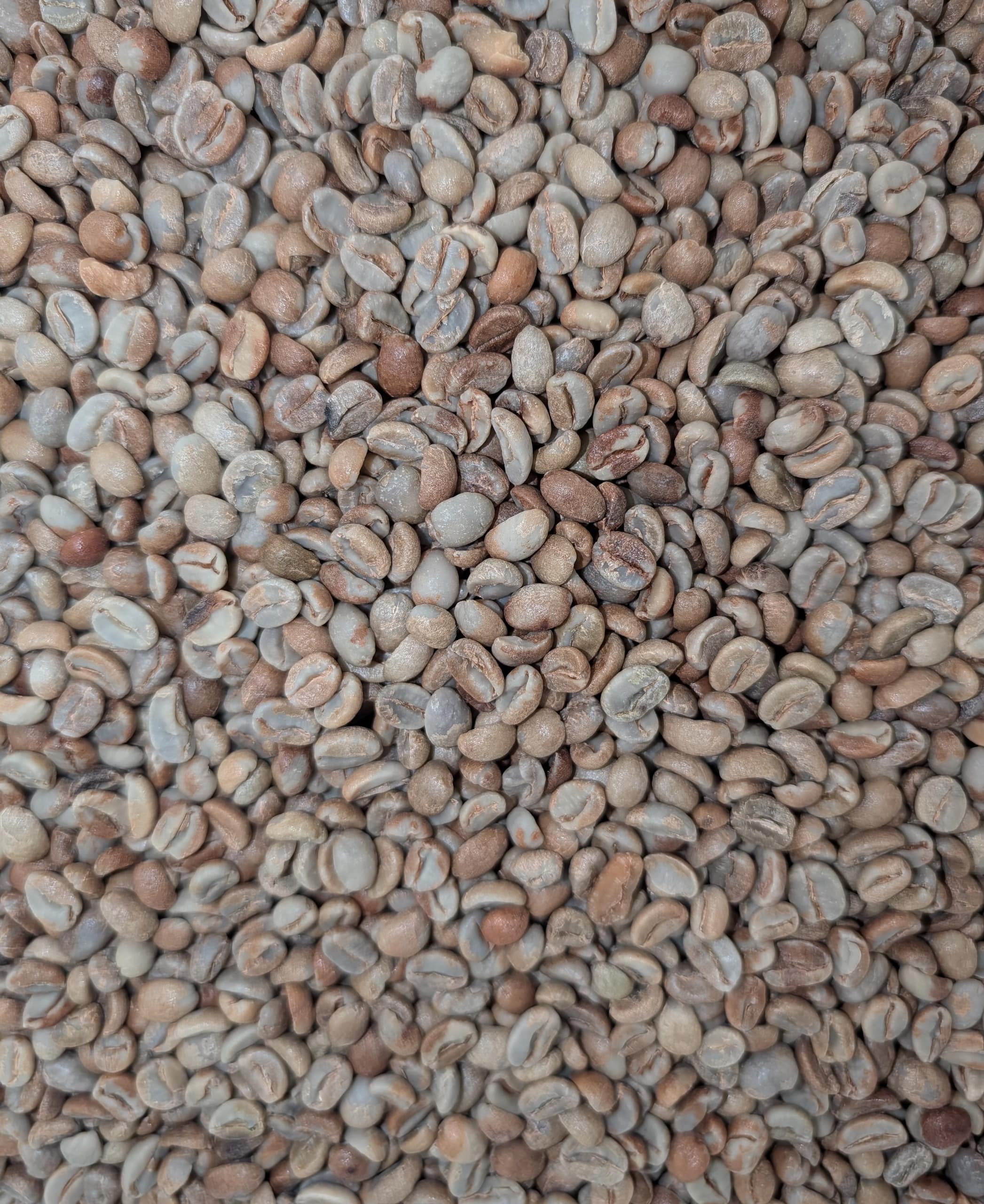 Honduras Natural, Marcala