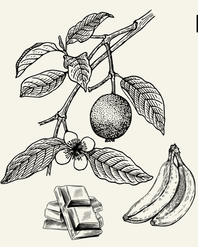 Mai Guava Banana Decaf by River Phin Coffee Roasters