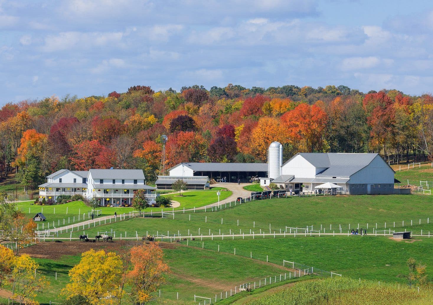 Farmhouse Blend