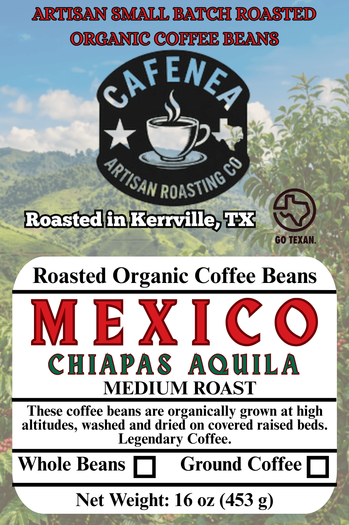 Mexico Chiapas Aguila by CAFENEA