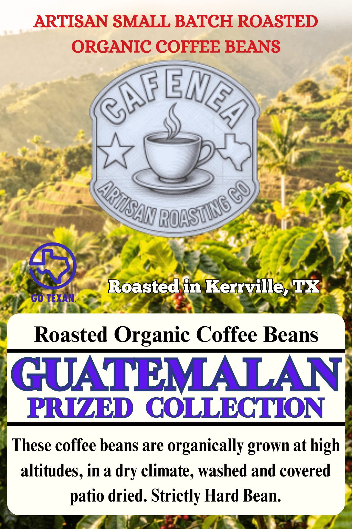 Guatemala Prized Collection by CAFENEA