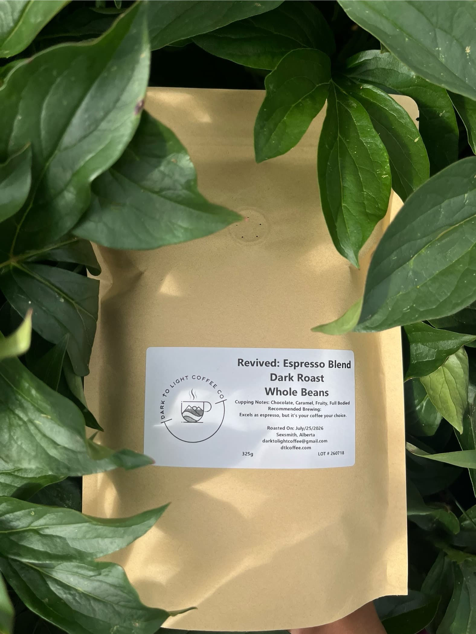 Revived Dark Roast Blend by Dark To Light Coffee Co.