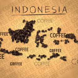 Fair Trade, Organic Sumatra Super Queen Kopepi Ketiara by Colorado River Coffee Roasters