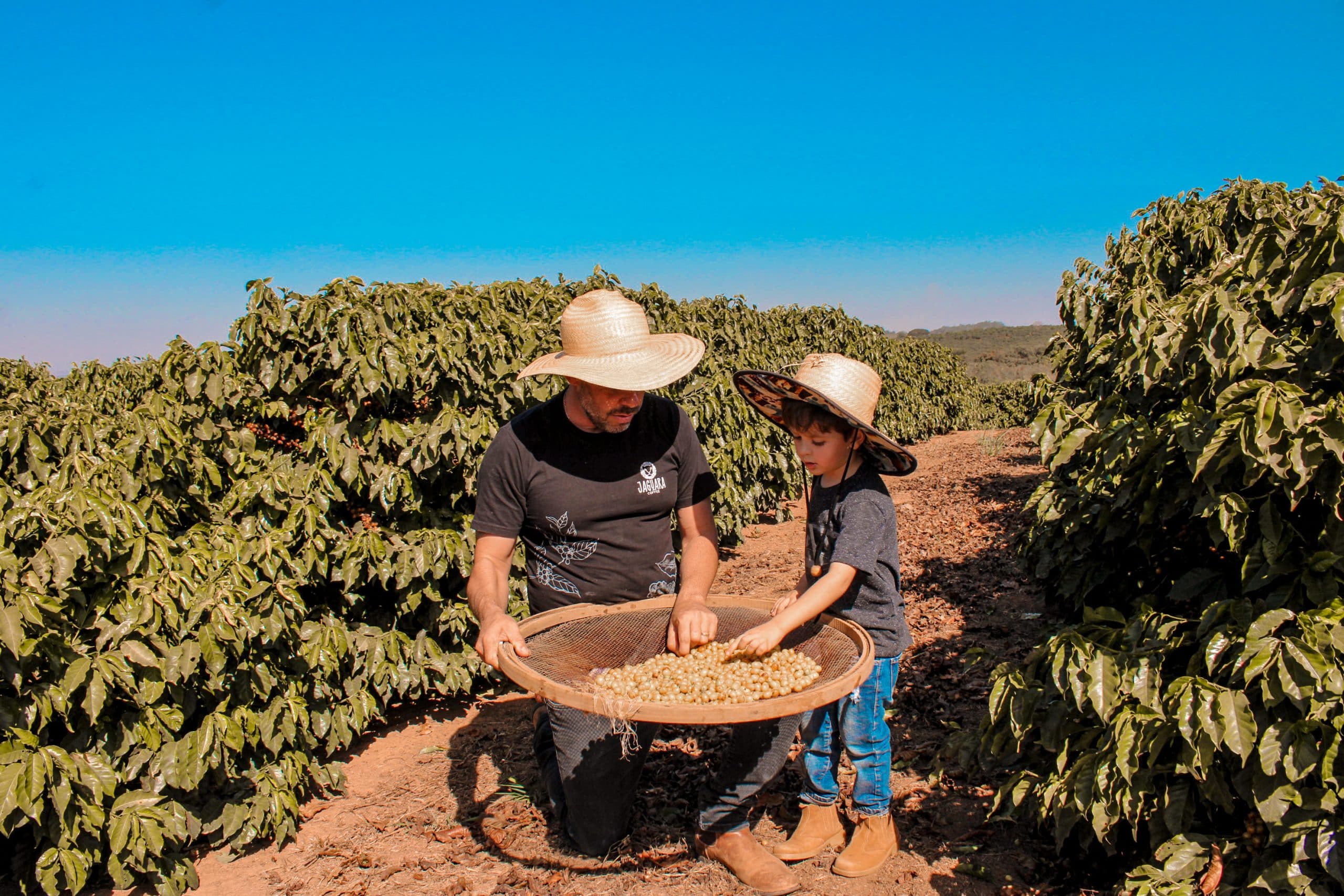 Brazil Microlots – Jaguara Coffee by Colorado River Coffee Roasters