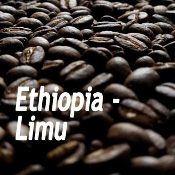 Ethiopia - Limu - Light Roast